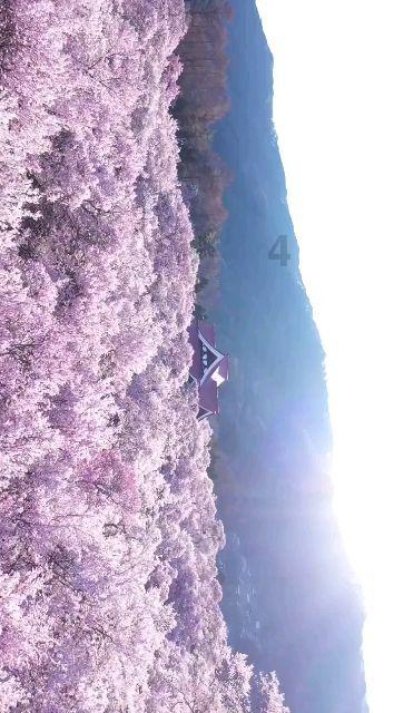 易币付链接游戏画面